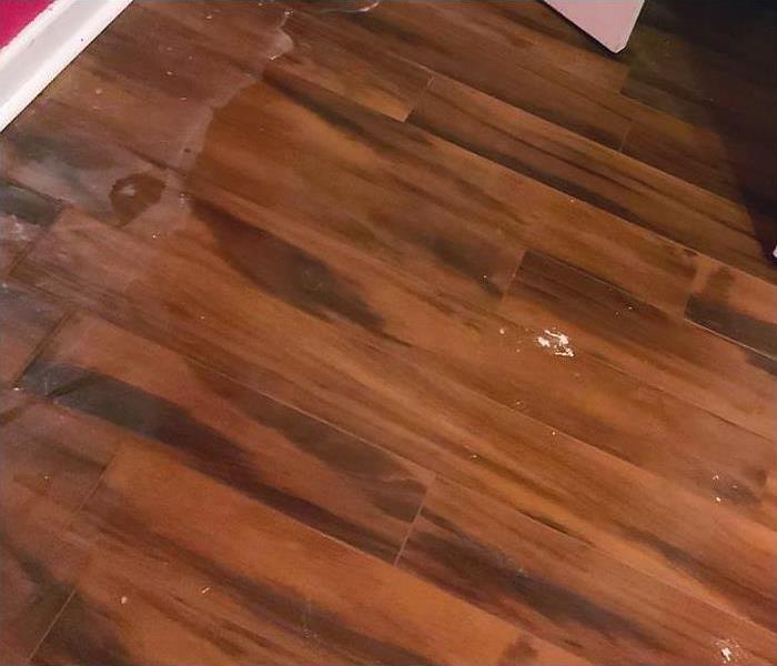 Closeup of standing water on a customer's laminate floor in Water Valley, MS