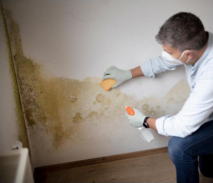 Man with protective mask tries to remove mold on wall with sponge and cleaning agent