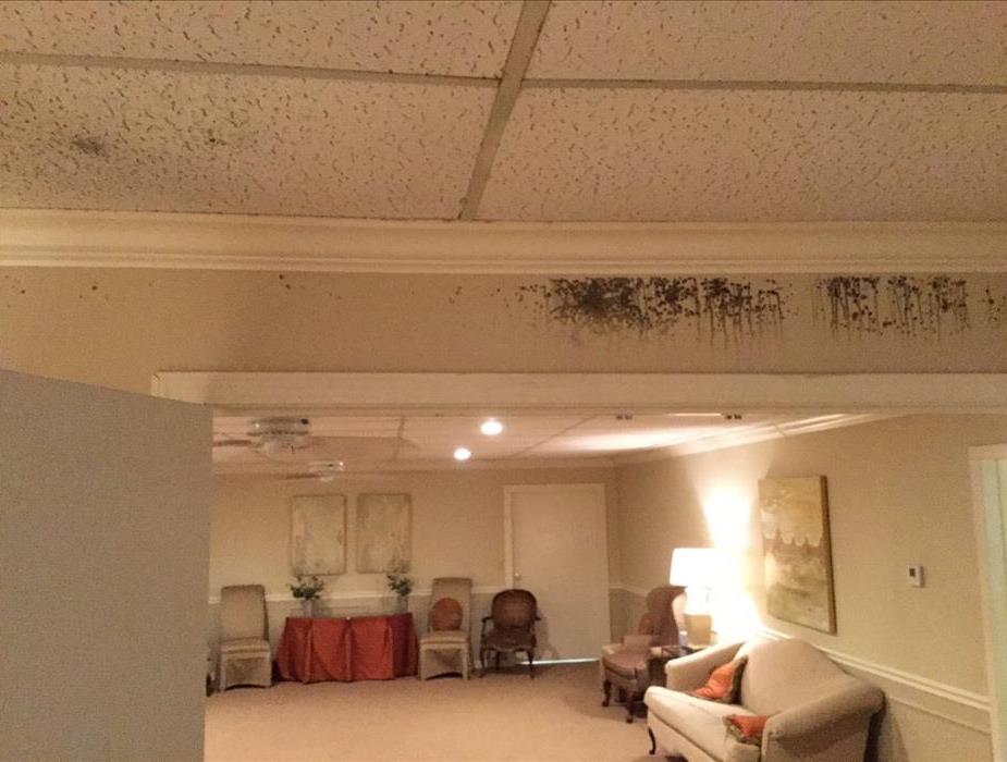 Room affected by mold in a local funeral home 