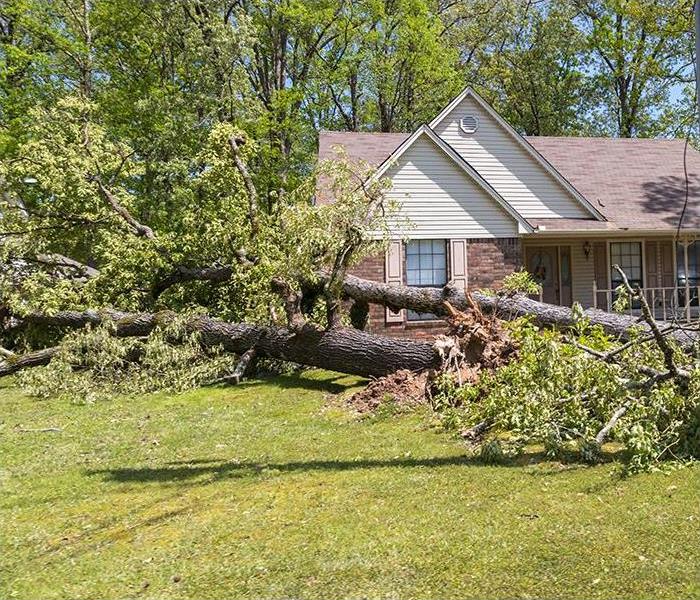 A fallen tree lies in front of a Mississippi home after a tornado